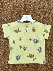 MAGLIA